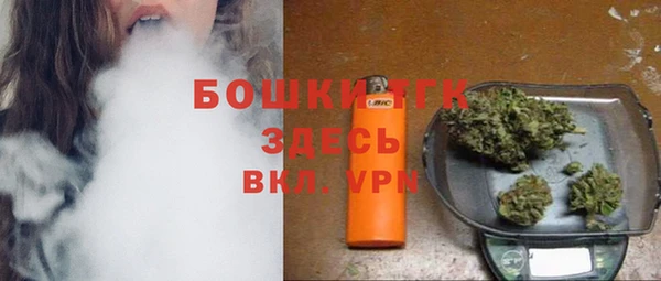 Альфа ПВП Аркадак