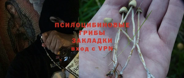 ГАЛЛЮЦИНОГЕННЫЕ ГРИБЫ Арсеньев