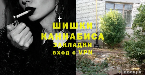 ГАЛЛЮЦИНОГЕННЫЕ ГРИБЫ Арсеньев